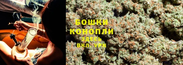 шишки Бугульма