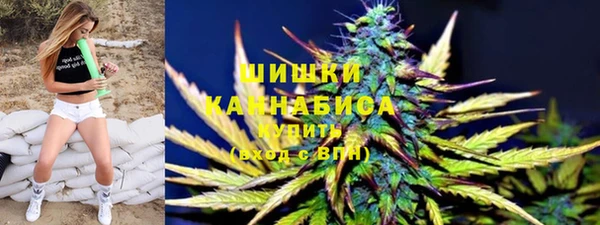 шишки Бугульма