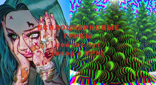 jwh Бородино