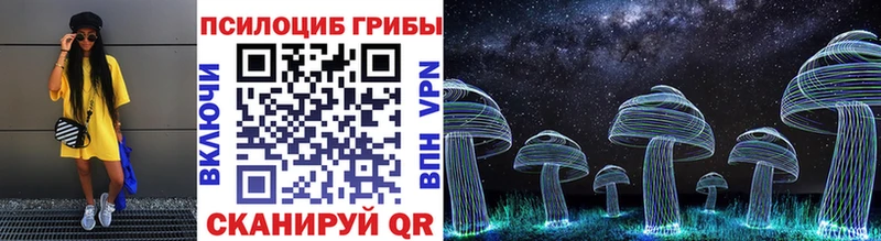 Псилоцибиновые грибы Psilocybine cubensis  Брянск 